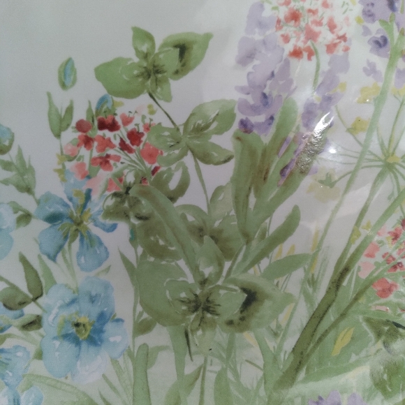 Dinner Plate - Picture 4 of 5